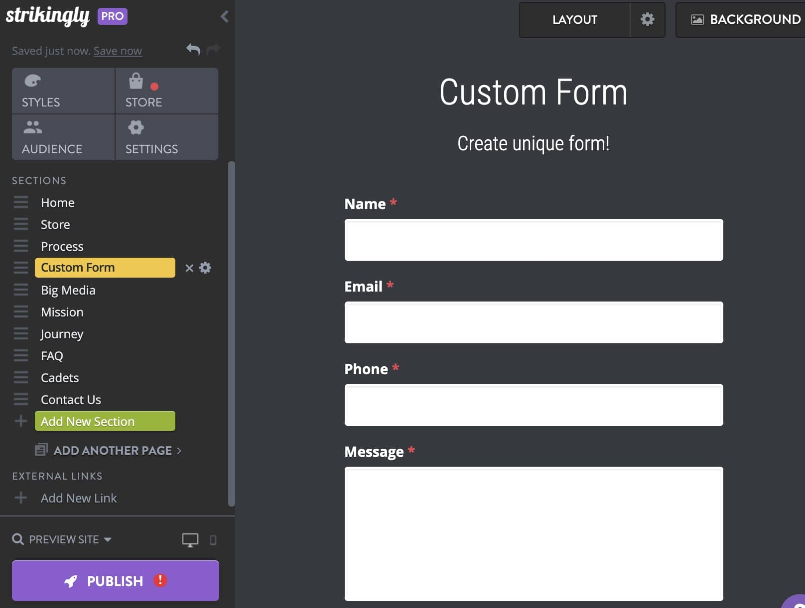 Strikingly Form Section Strikingly Form Section